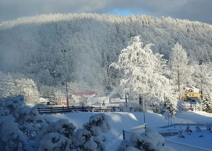 Przy Stoku Pod Lasem I Z Tarasem - Powrocisz Tu Hillside